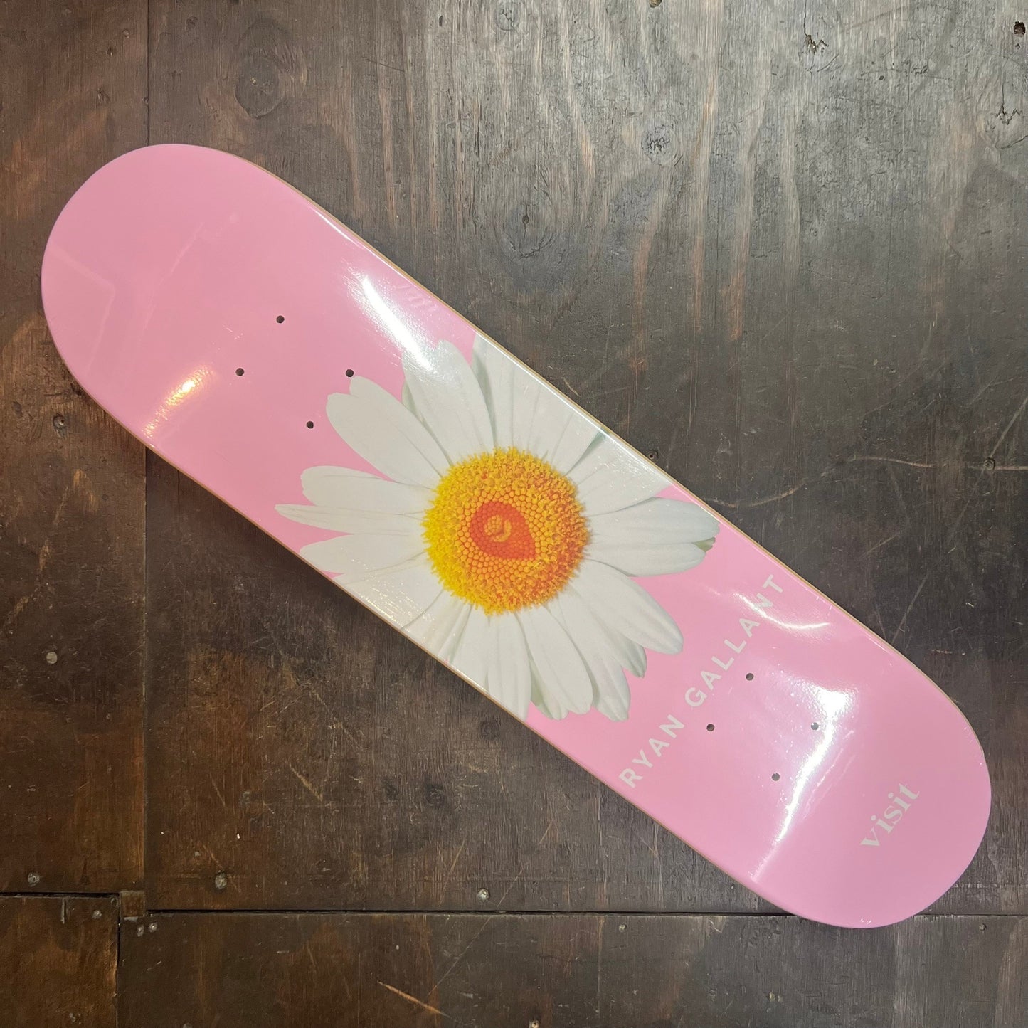 Visit Gallant Daisy Deck 7.25