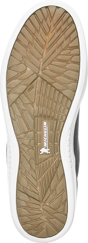 etnies マラナ・ミシュラン X ライアン・シェクラー